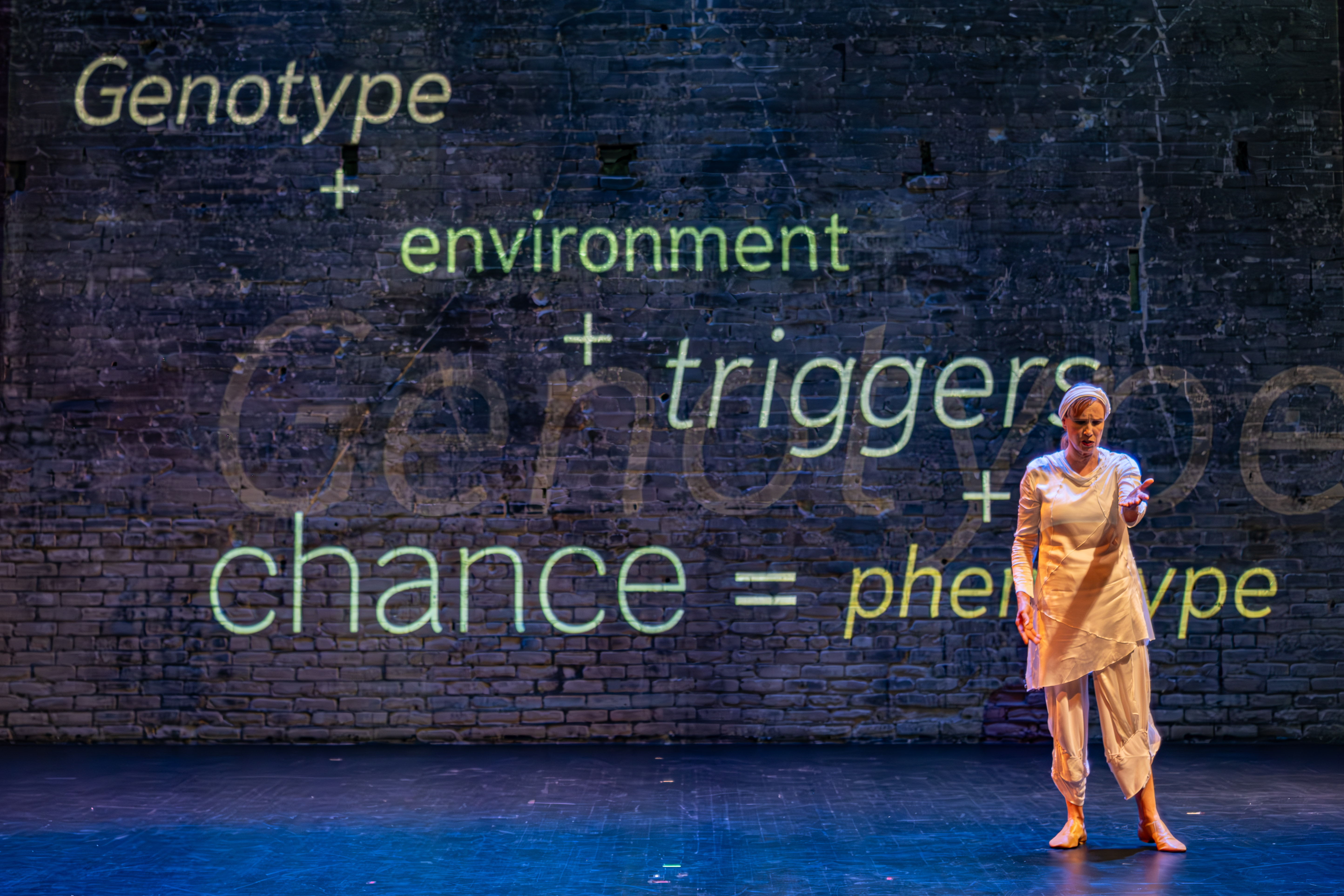 Performance / Environmental & Theatrical